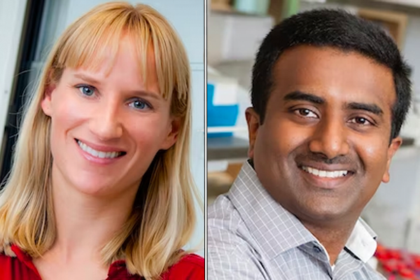 Wagenseil, Singamaneni