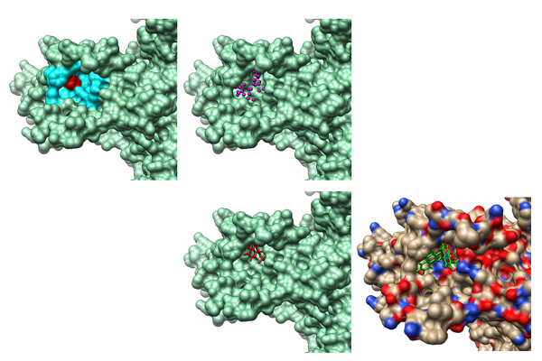 Cui-research-12.jpg