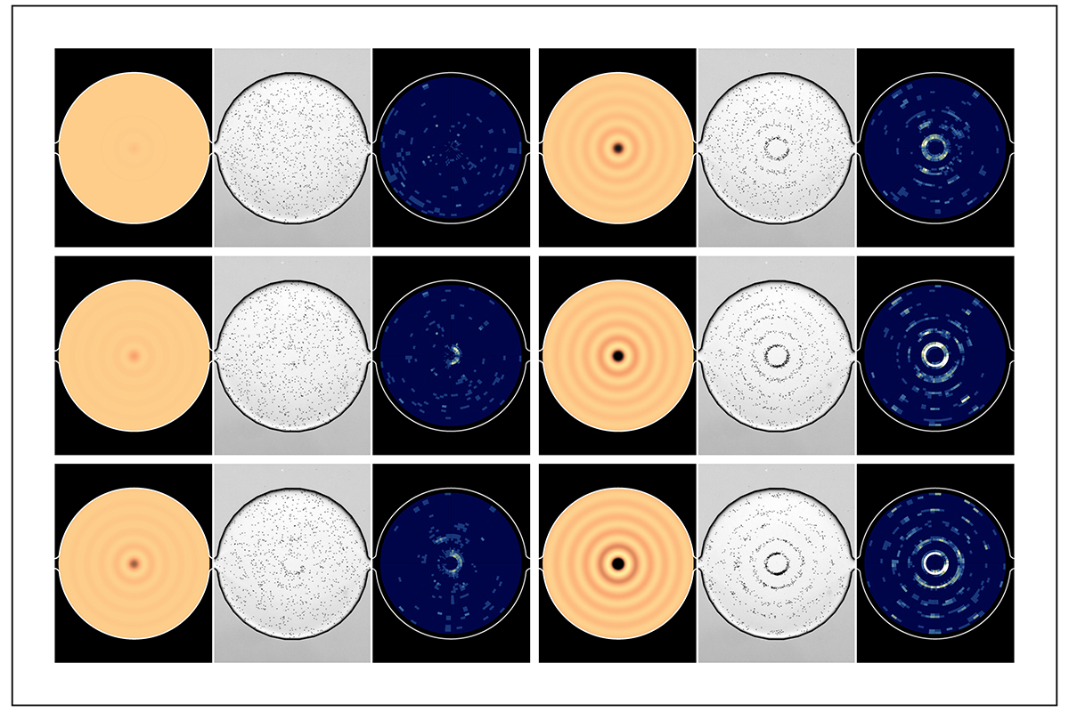 J. Mark Meacham is turning the standard practice of using microfluidic tools for scientific discovery on its head by using a living organism for real-time measurement and monitoring of acoustic microfluidic device performance. 