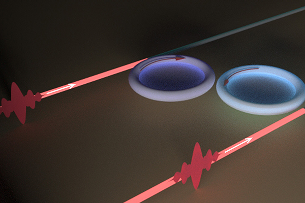Lan Yang and her team have made a new discovery that brings new insight to how to exploit different kinds of losses to manipulate an open physical system. (Image credit: Yang lab)
