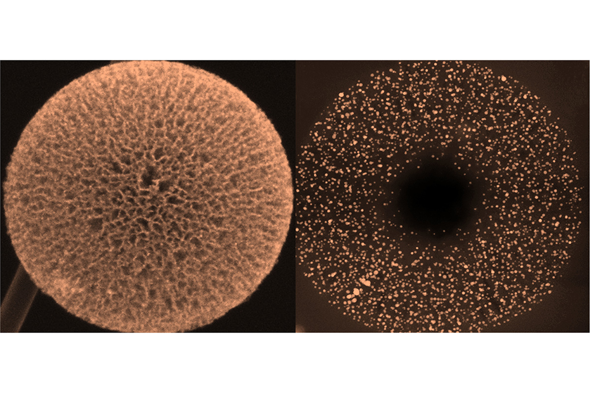 Gang Wu and collaborators developed hollow nanocarbon spheres containing an ordered radial nanochannel array to be used as supports in their new design for high-performance intermetallic nanoparticle fuel cell catalysts.  