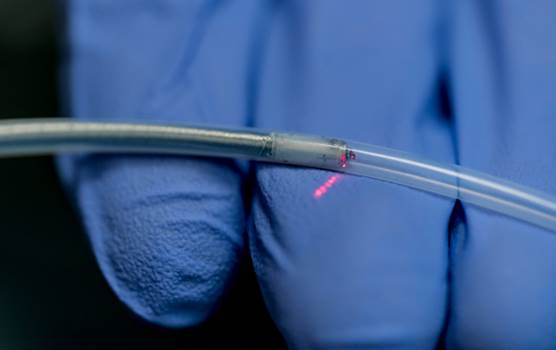 Quing Zhu and Vladimir M. Kushnir, MD, and their teams developed an endoscopic OCT catheter that could help clinicians determine whether a colon polyp is benign or cancerous with more accuracy during routine colonoscopy. (Credit: Zhu lab)