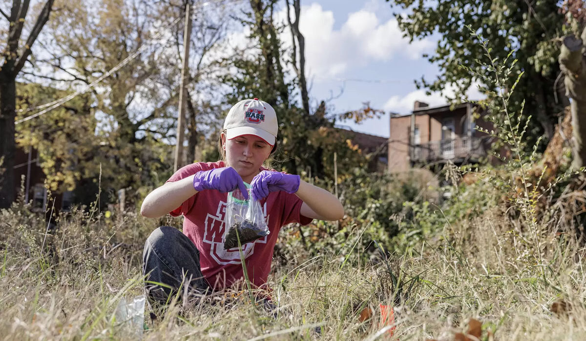 Undergraduate Charlie Rosser collects soil samples in a north St. Louis neighborhood. (Photo: Whitney Curtis/WashU)