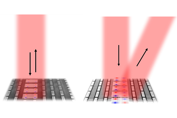 How can infinitely sensitive optical resonators be placed arbitrarily close together without interacting? Mark Lawrence’s team has the answer. (Credit: Lawrence lab)