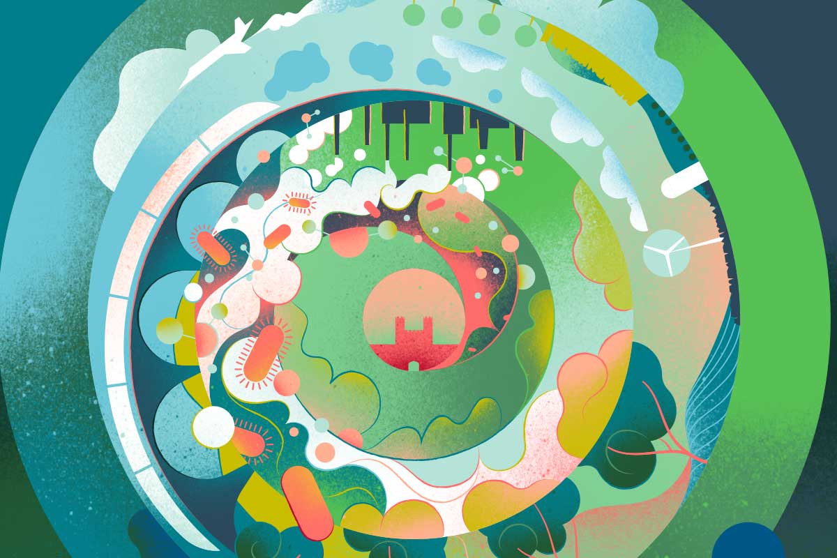 Illustrations by David Rygiol | Photos by Douglas Garfield